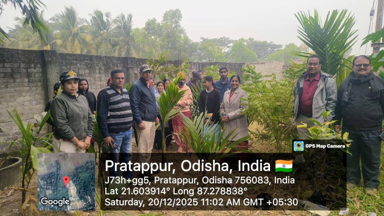 SP_163634_Green Audit.jpg